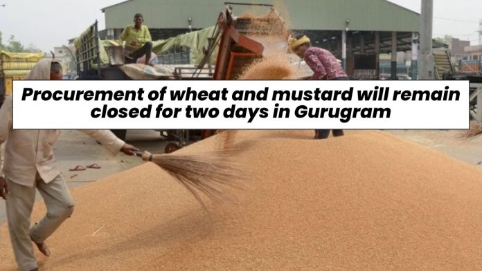 Procurement of wheat and mustard will remain closed for two days in Gurugram