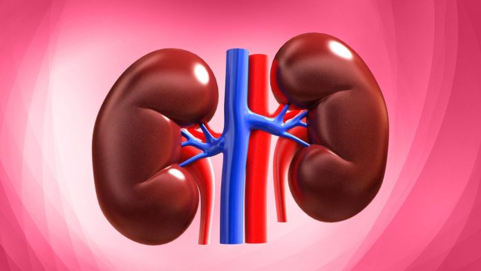 Five Bangladeshi citizens arrested in kidney