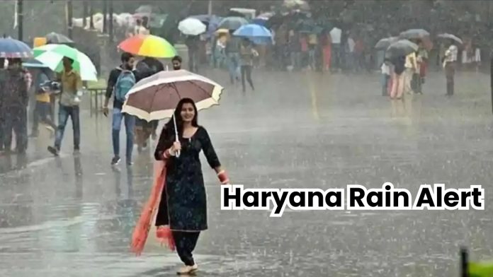 Haryana Rain Alert